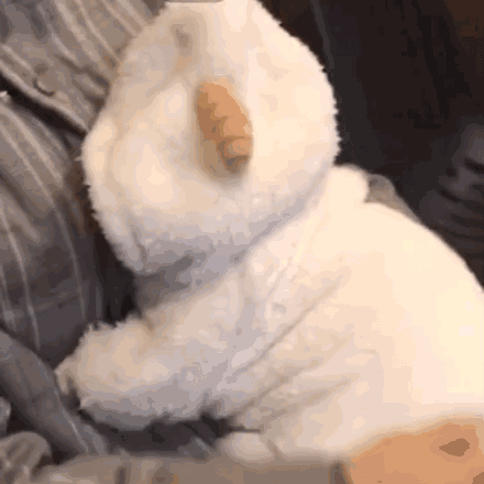 微信近期斗图恶搞表情包2019/8/23