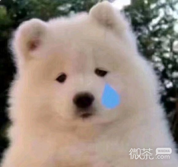 翻脸微信表情包
