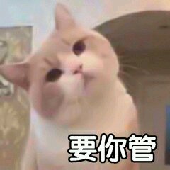 烦死了微信恶搞斗图表情包