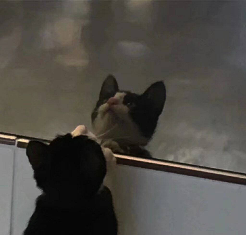 微信伤感个性意境朋友圈配图