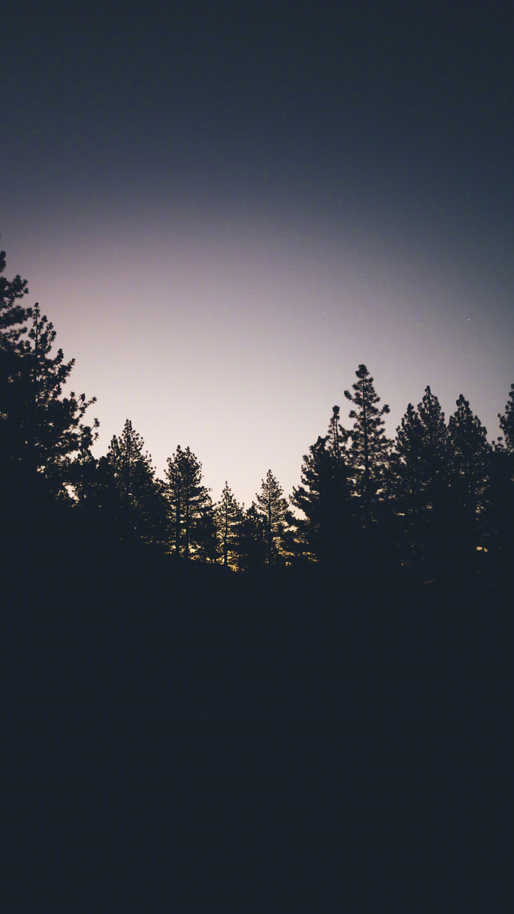 今日手机壁纸精选2019/8/23