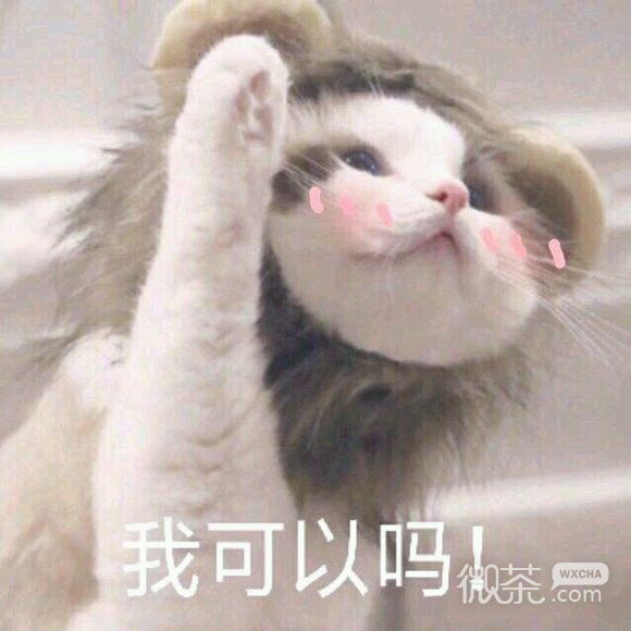 啵唧微信恶搞斗图表情包