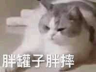 啵唧微信恶搞斗图表情包