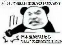 微信近期斗图恶搞表情包2019/8/23