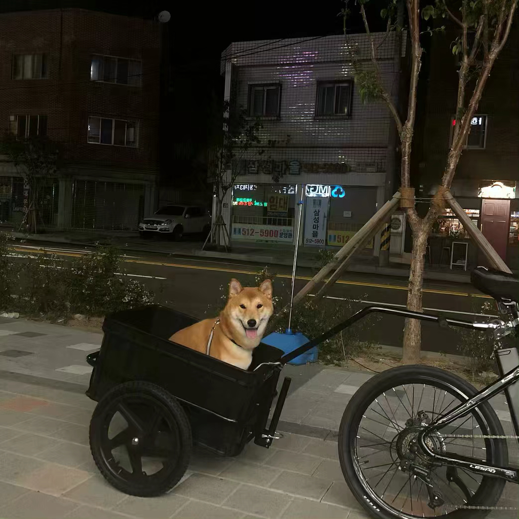 梦幻孤独个性朋友圈配图