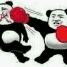 啵唧微信恶搞斗图表情包