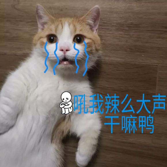 微信恶搞斗图吃惊表情包