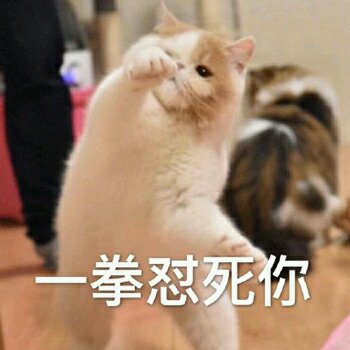 啵唧微信恶搞斗图表情包