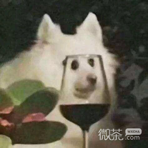 翻脸微信表情包