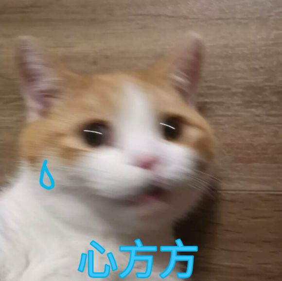 微信恶搞斗图吃惊表情包