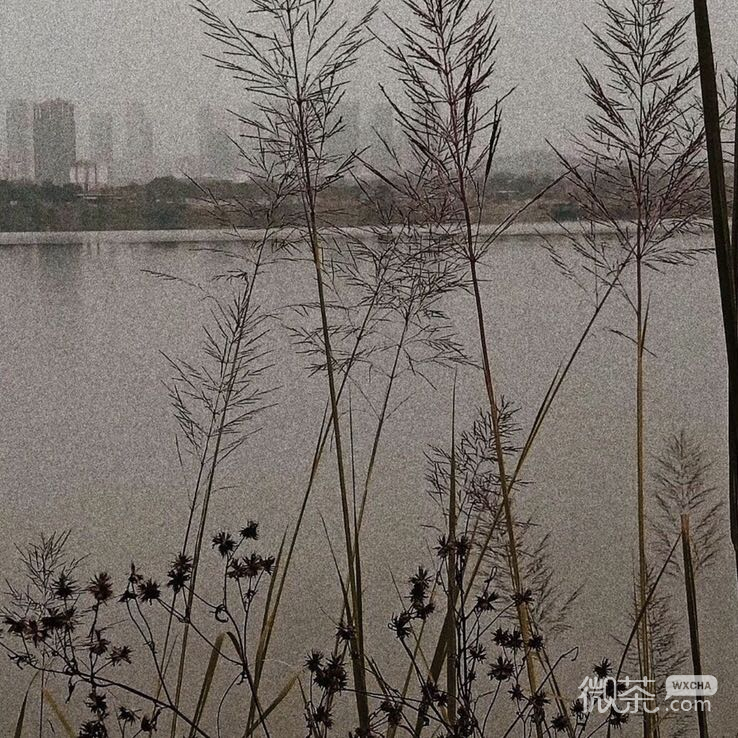 微信寂寞孤独朋友圈配图