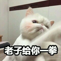 烦死了微信恶搞斗图表情包