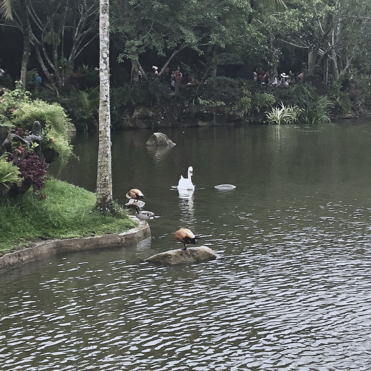 梦幻孤独个性朋友圈配图