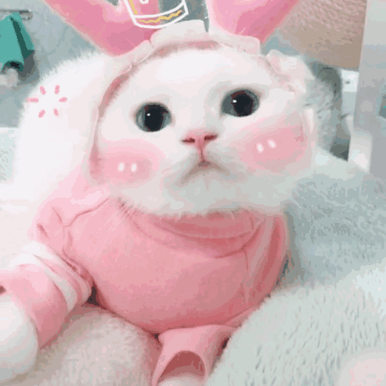 微信恶搞斗图吃惊表情包