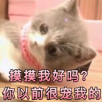 微信恶搞斗图吃惊表情包