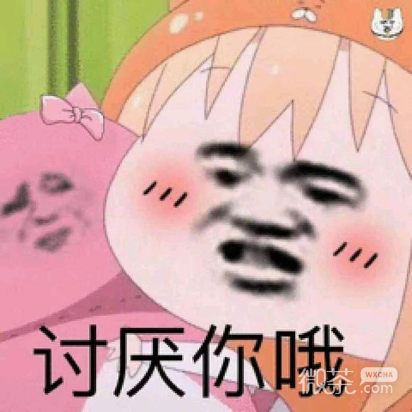 啵唧微信恶搞斗图表情包