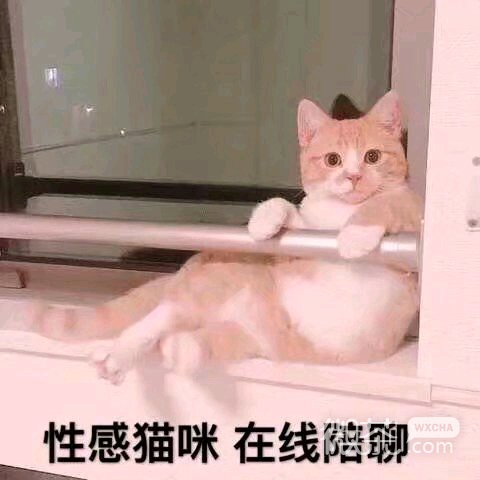 翻脸微信表情包