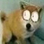 微信恶搞斗图吃惊表情包