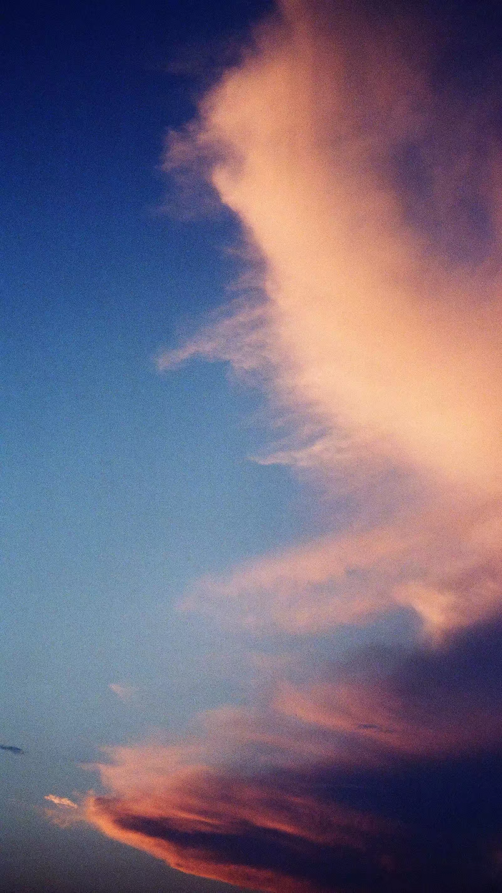 今日手机壁纸精选2019/8/23