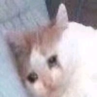 微信恶搞斗图吃惊表情包