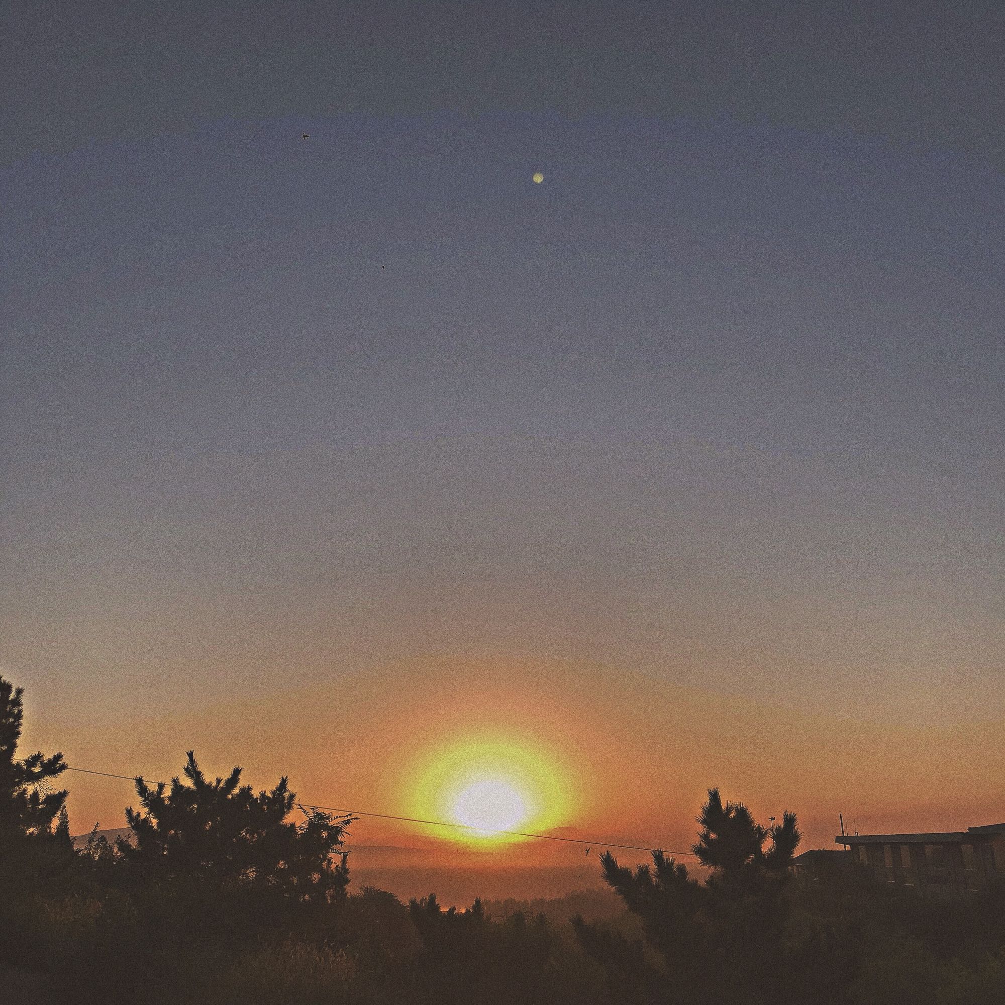 梦幻孤独个性朋友圈配图