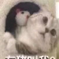 微信恶搞斗图吃惊表情包