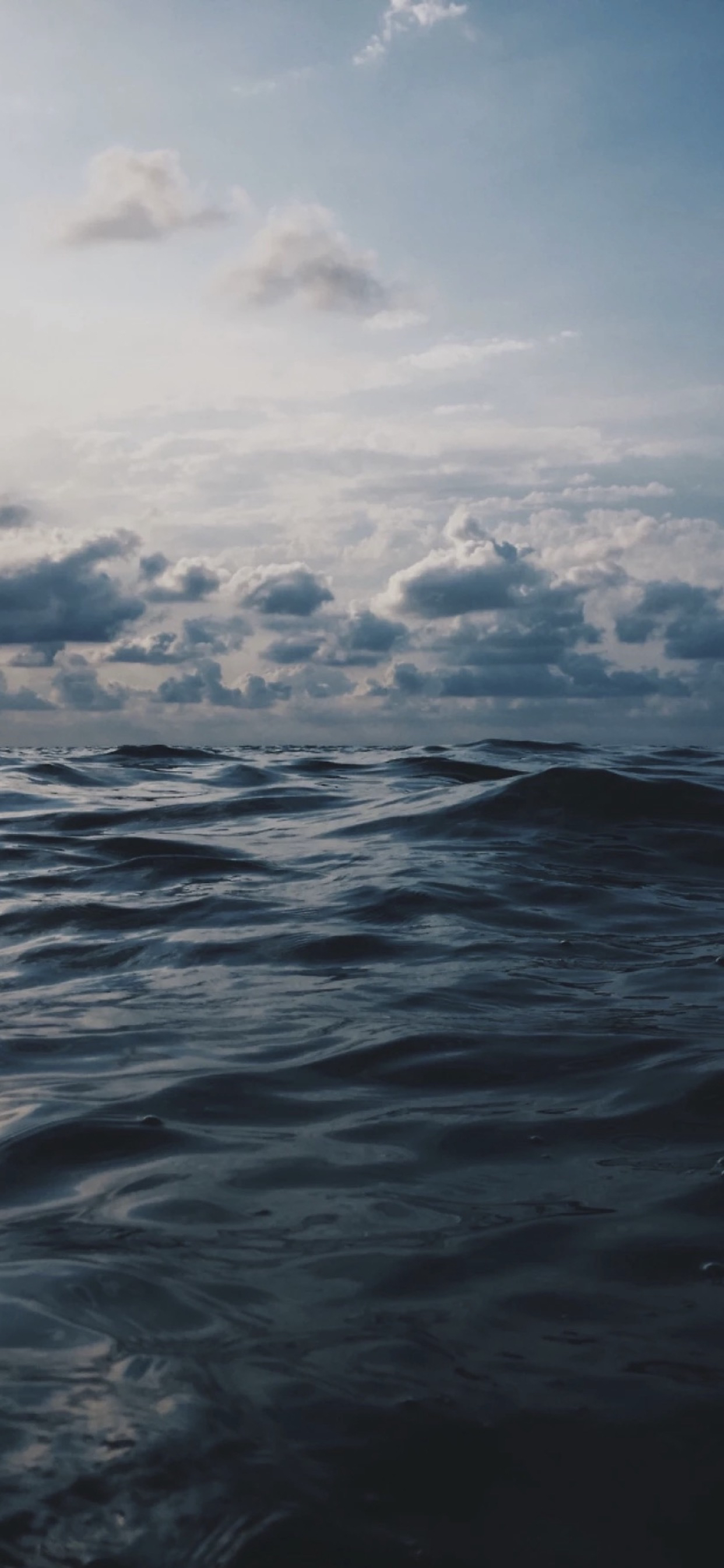 今日手机壁纸精选2019/8/23