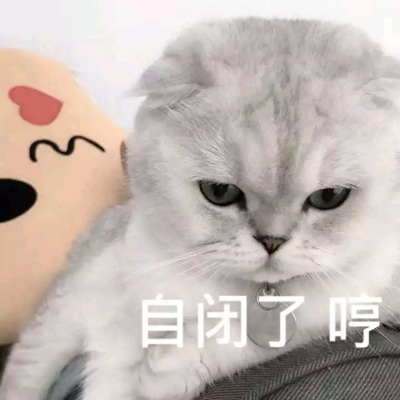 微信恶搞斗图吃惊表情包