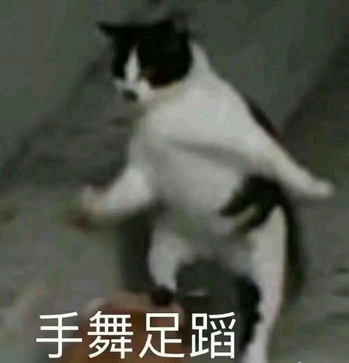 微信近期斗图恶搞表情包2019/8/25(二)