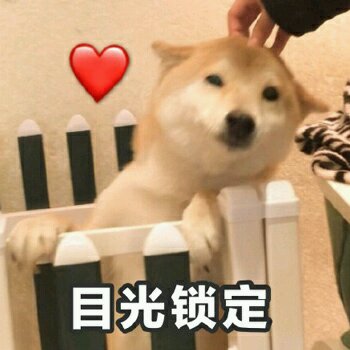 微信近期斗图恶搞表情包2019/8/24