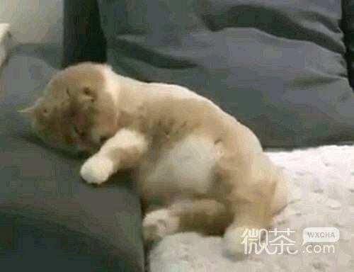 笑死微信恶搞群聊杂图表情包