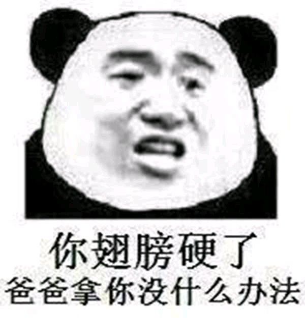 快速记仇微信恶搞斗图表情包