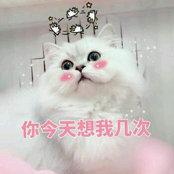 微信近期斗图恶搞表情包2019/8/24
