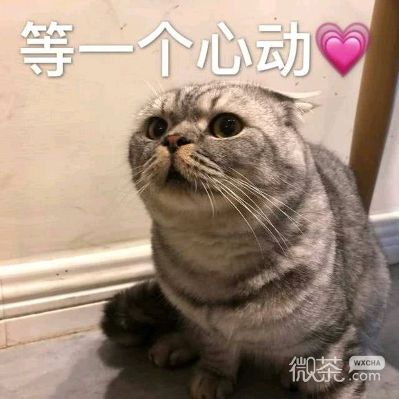 笑死微信恶搞群聊杂图表情包