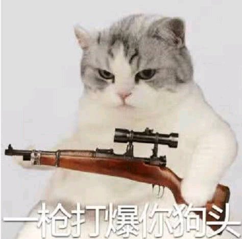 快速记仇微信恶搞斗图表情包