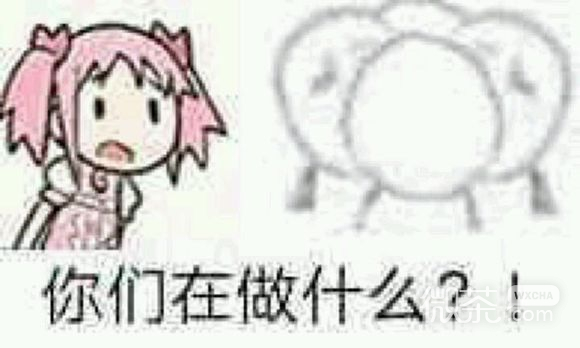 微信近期斗图恶搞表情包2019/8/24