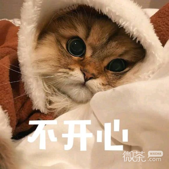 笑死微信恶搞群聊杂图表情包