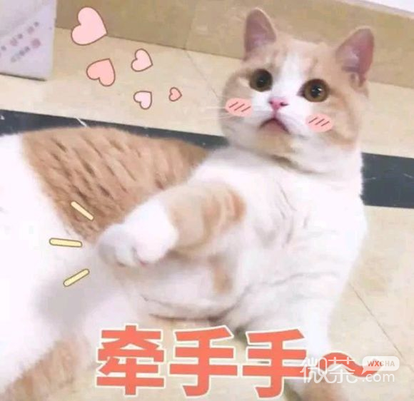 笑死微信恶搞群聊杂图表情包