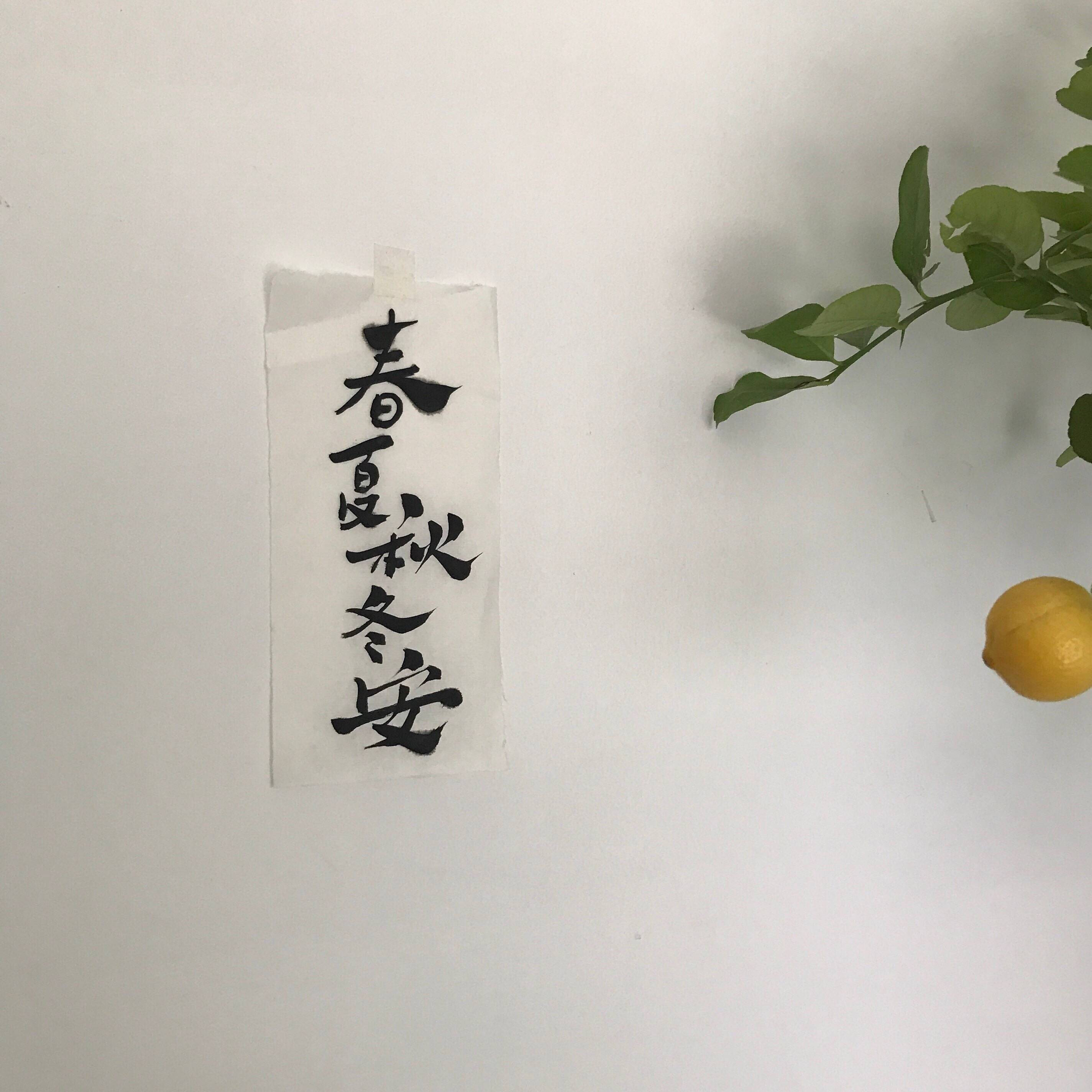 微信简洁风景静物朋友圈配图