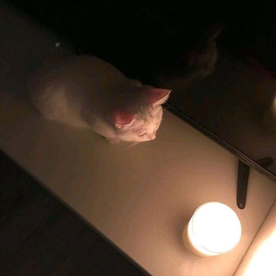 简约清新微信朋友圈配图