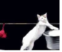 搞怪傻屌二次元微信表情包