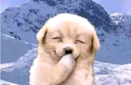 微信近期斗图恶搞表情包2019/8/26