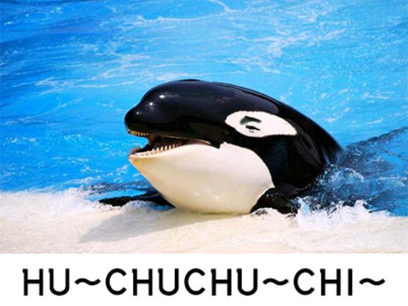 微信近期斗图恶搞表情包2019/8/26