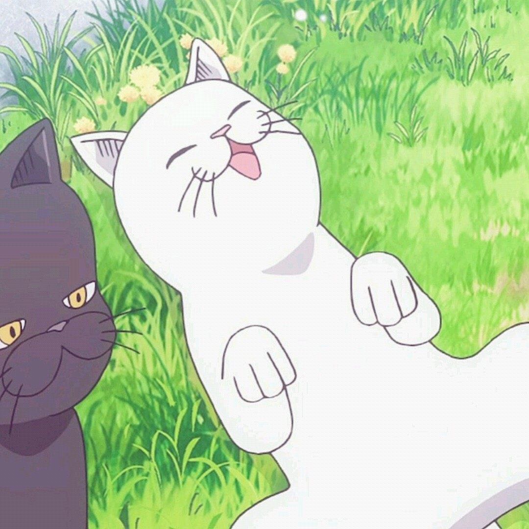 微信唯美甜蜜好看二次元情头