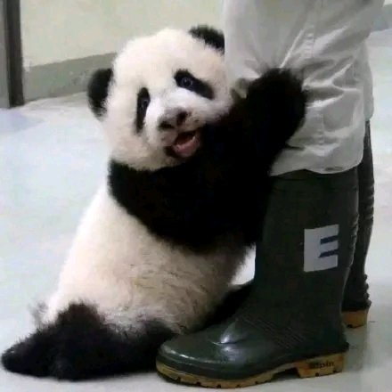 微信近期斗图恶搞表情包2019/8/26