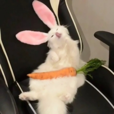 可爱搞笑的微信沙雕头像图片