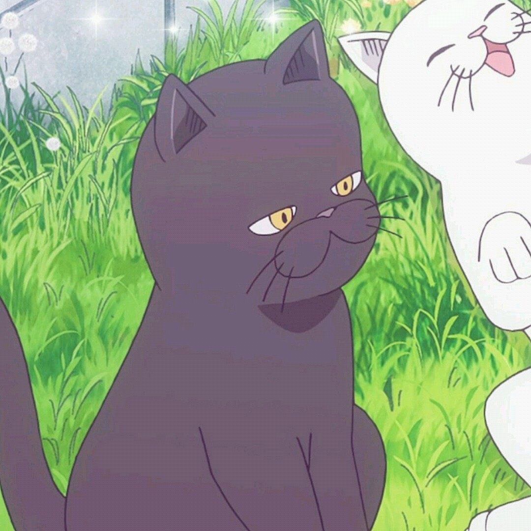 微信唯美甜蜜好看二次元情头