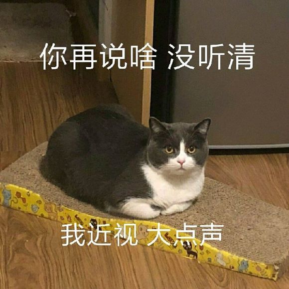 微信近期斗图恶搞表情包2019/8/26