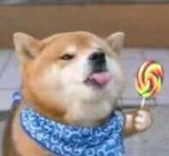 微信近期斗图恶搞表情包2019/8/26