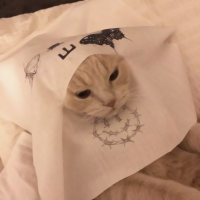 可爱搞笑的微信沙雕头像图片